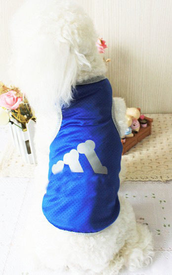 Blue dog polyester vest on small dog with bear bone print