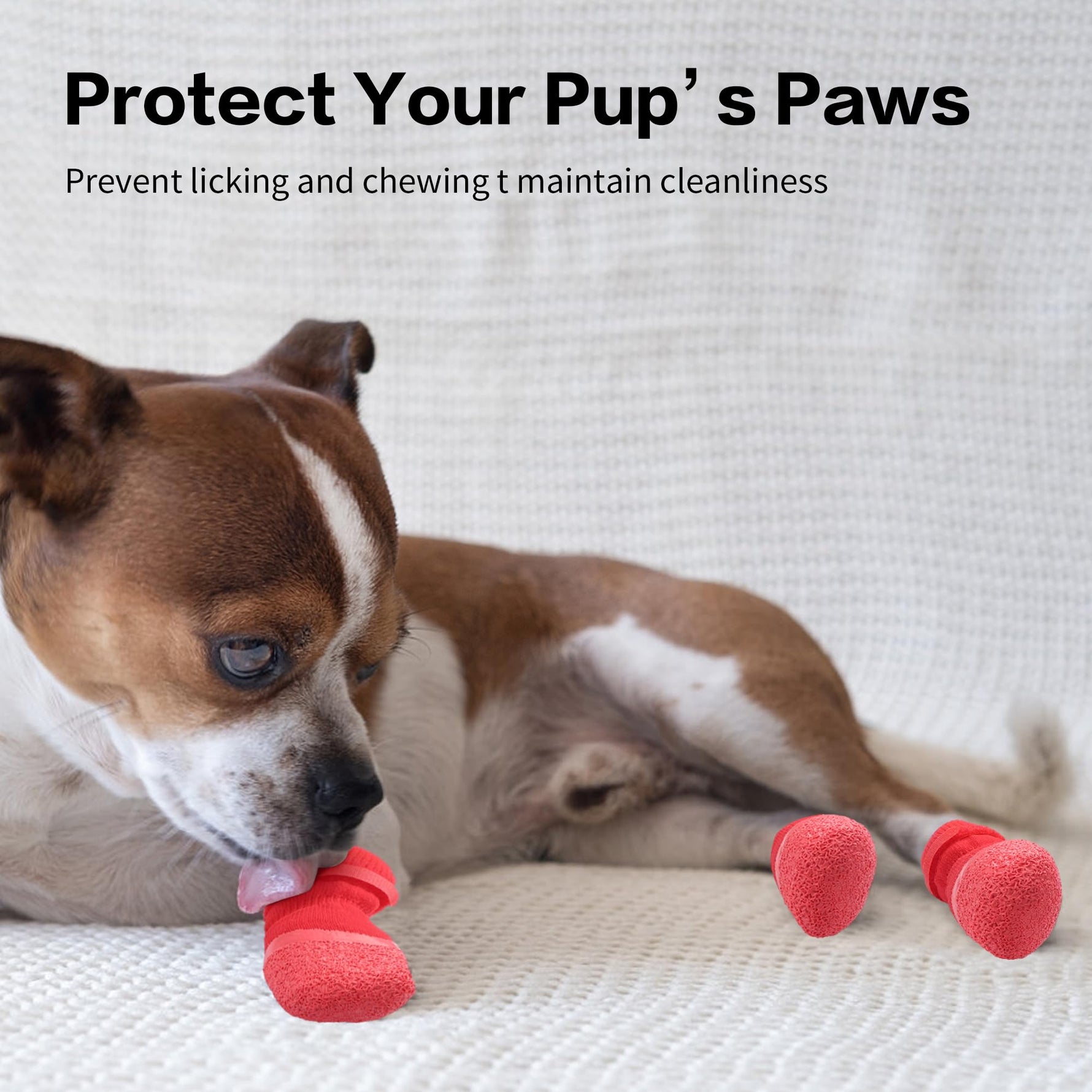 Red paw-protection dog socks on front paws, textured non-slip toe pads.