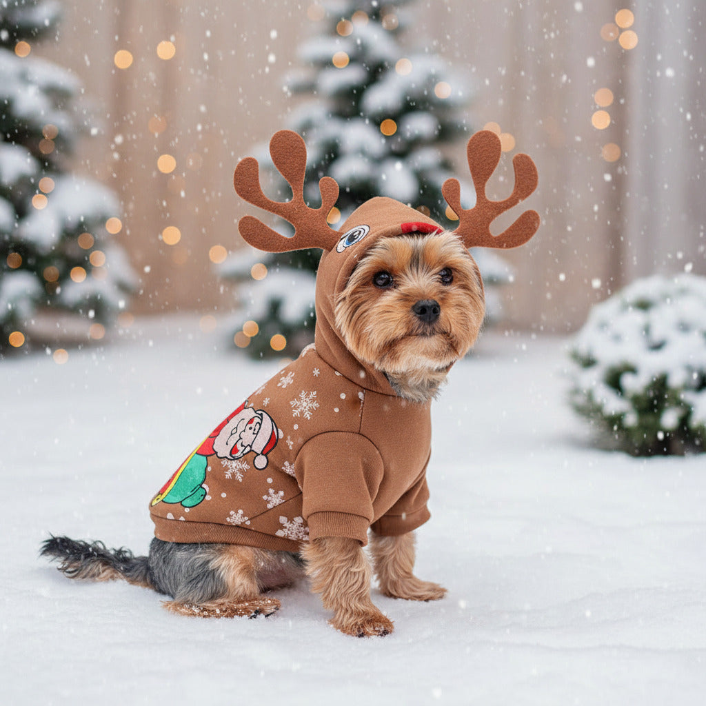 Pet sweater with hood, brown knit and colorful cartoon patch, four-leg design