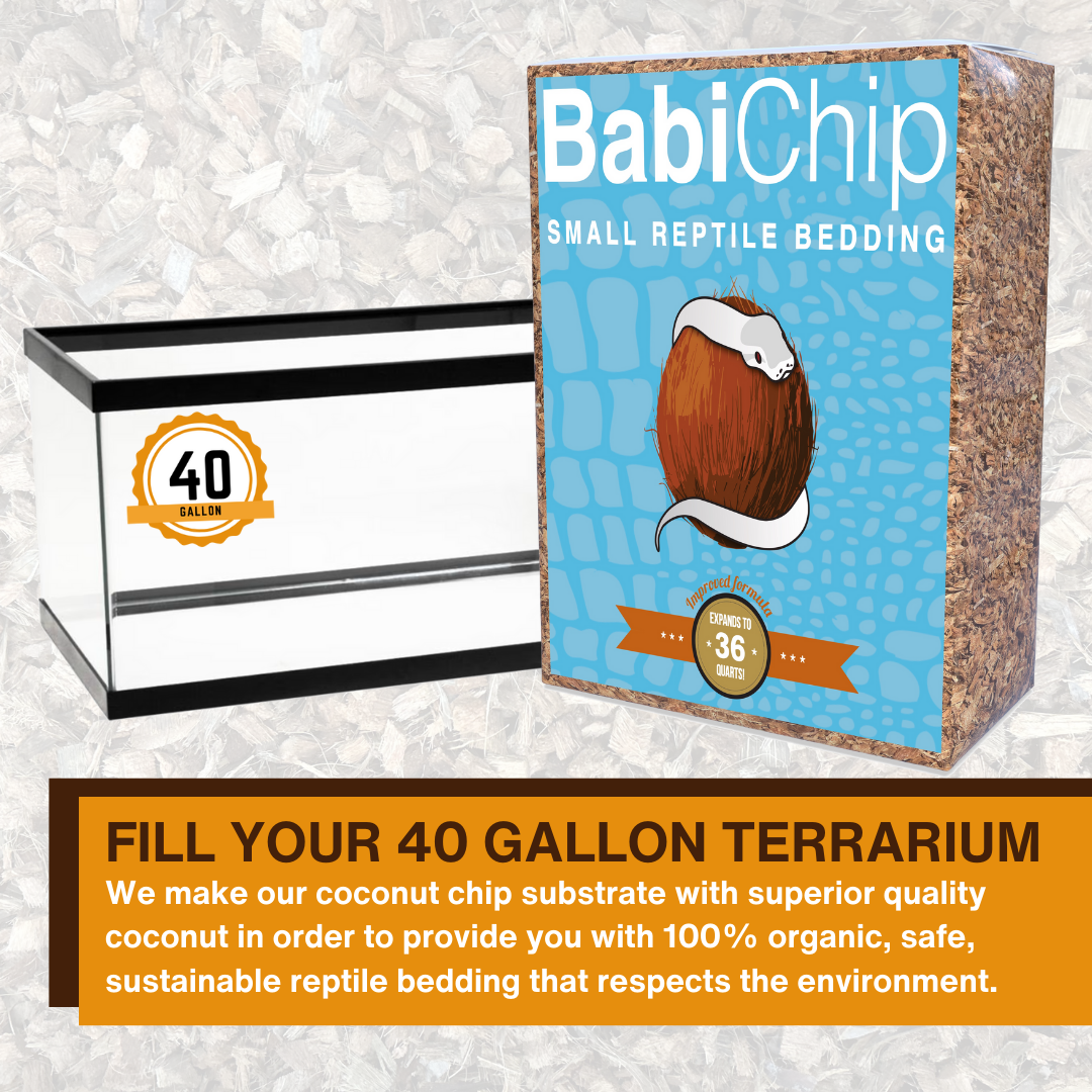 Small reptile bedding coconut chip substrate box with 40-gallon terrarium insert