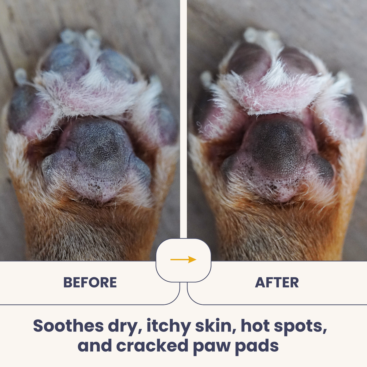 Pet coconut oil before-and-after on dog's nose, showing soothed skin