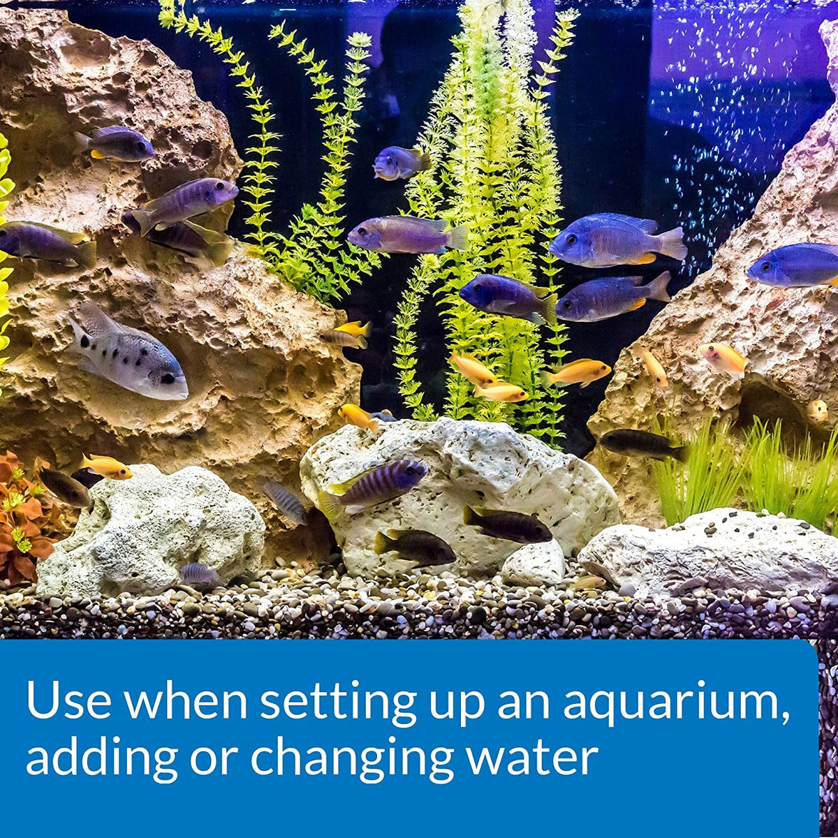 Aquarium fish with plants; “Use when setting up an aquarium, adding or changing water”