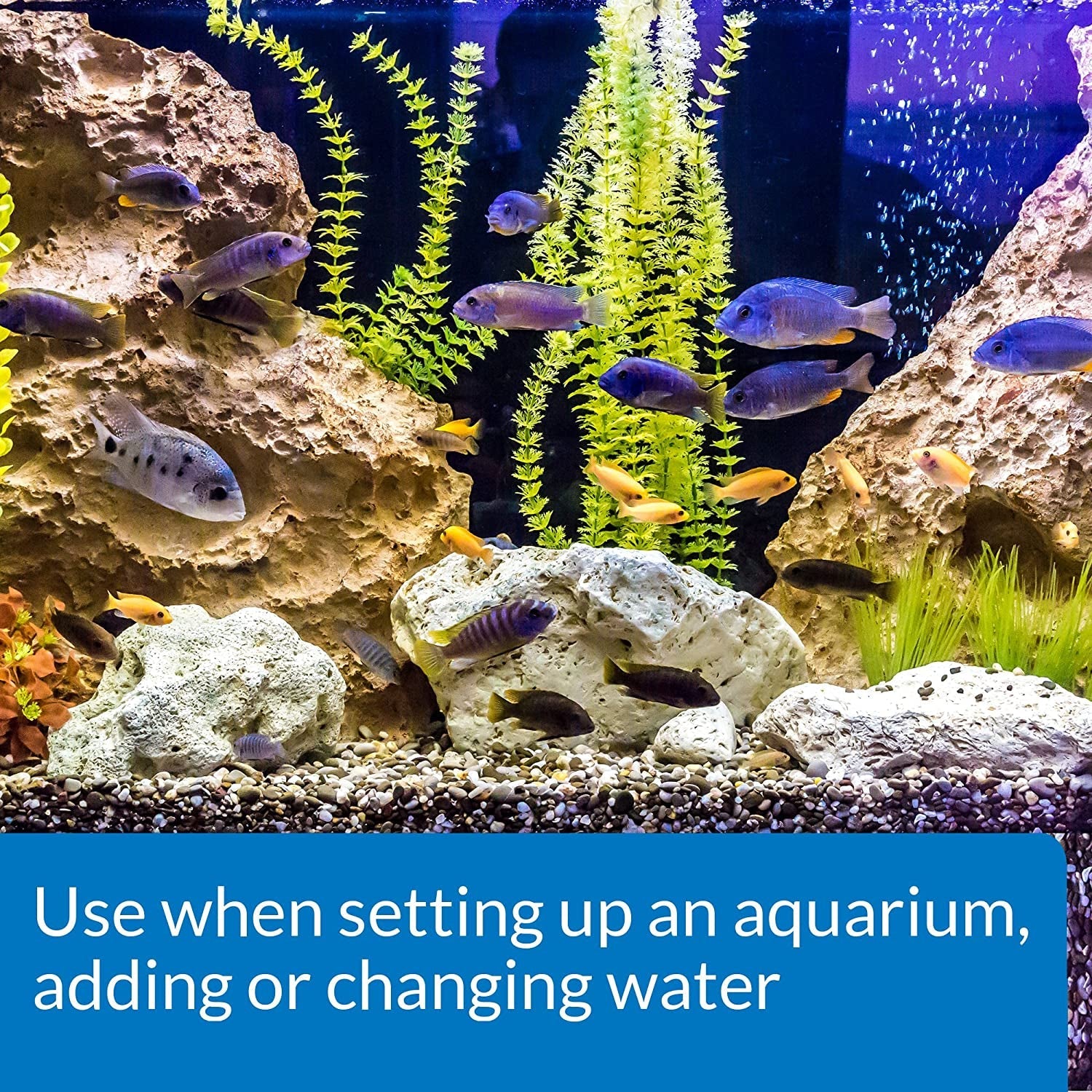 Aquarium fish with plants; “Use when setting up an aquarium, adding or changing water”
