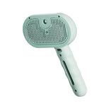Pet steam brush with mint-green handle and oval textured cleaning head