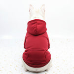 Dog sweater with front pocket patch, red knit with matching hood and cuffs