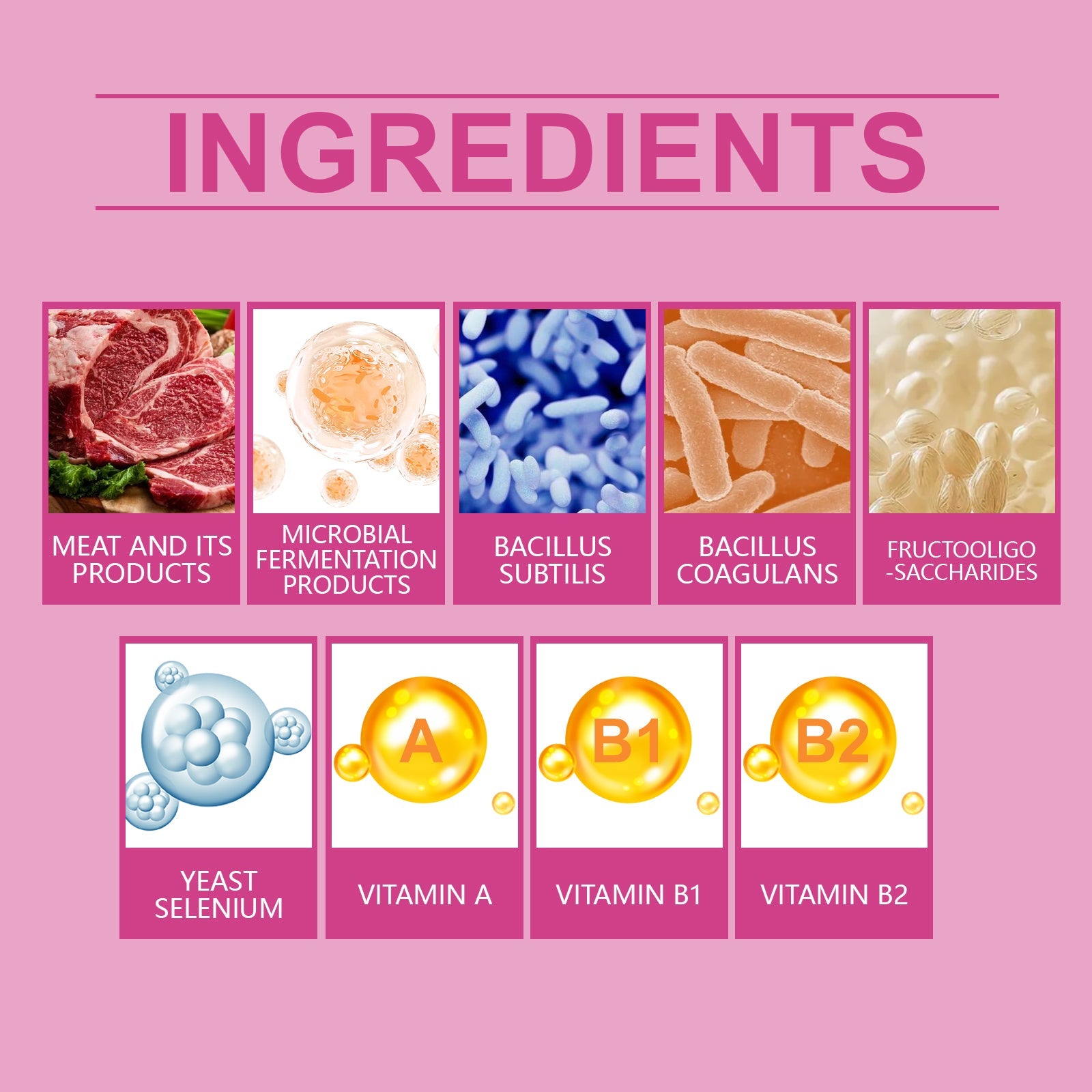 Dog digestive care tablets ingredients chart with vitamin and bacteria icons