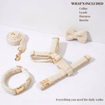Cream knitted dog collar, bowtie, and leash with gold clips and rings