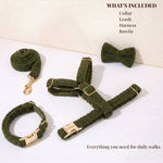 Olive teddy dog collar, leash, harness, and bowtie set with gold-tone hardware