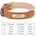 Brown dog collar with beige engraved ID tag and gold D-ring