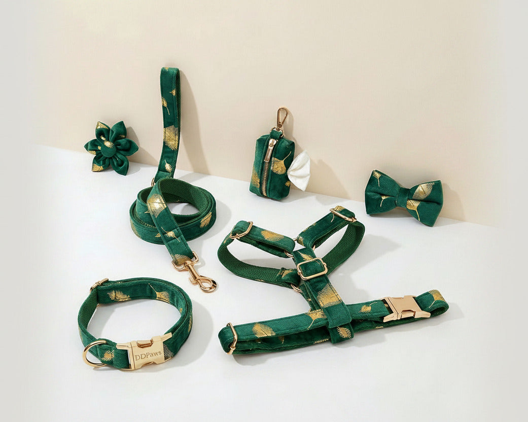 Green feather velvet dog accessories set: collar, bowtie, leash, and harness pieces