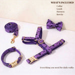 Violet bat-print dog collar, leash, harness, and bowtie set with gold hardware