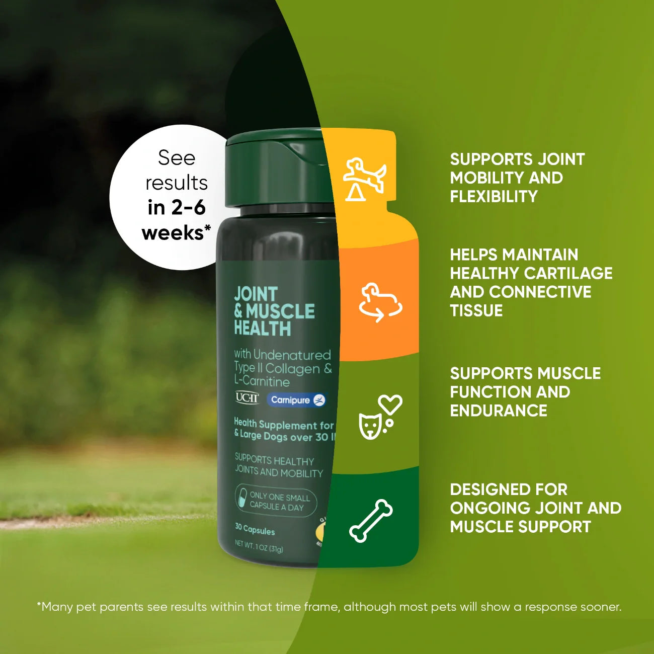 Dog joint and muscle health supplement bottle with support icons