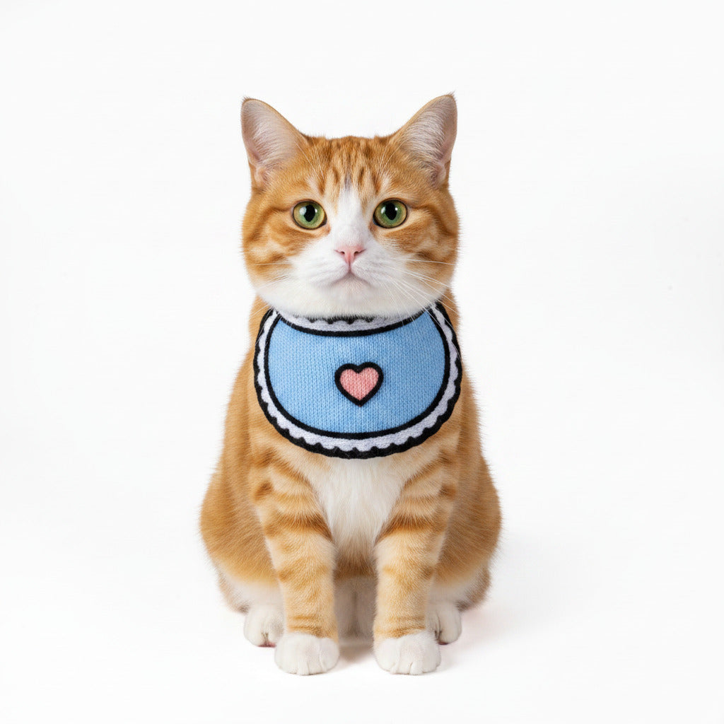 Blue bib collar with heart appliqué on orange-and-white cat