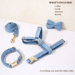 Blue denim dog collar, leash, harness, and bowtie set laid out with gold clips