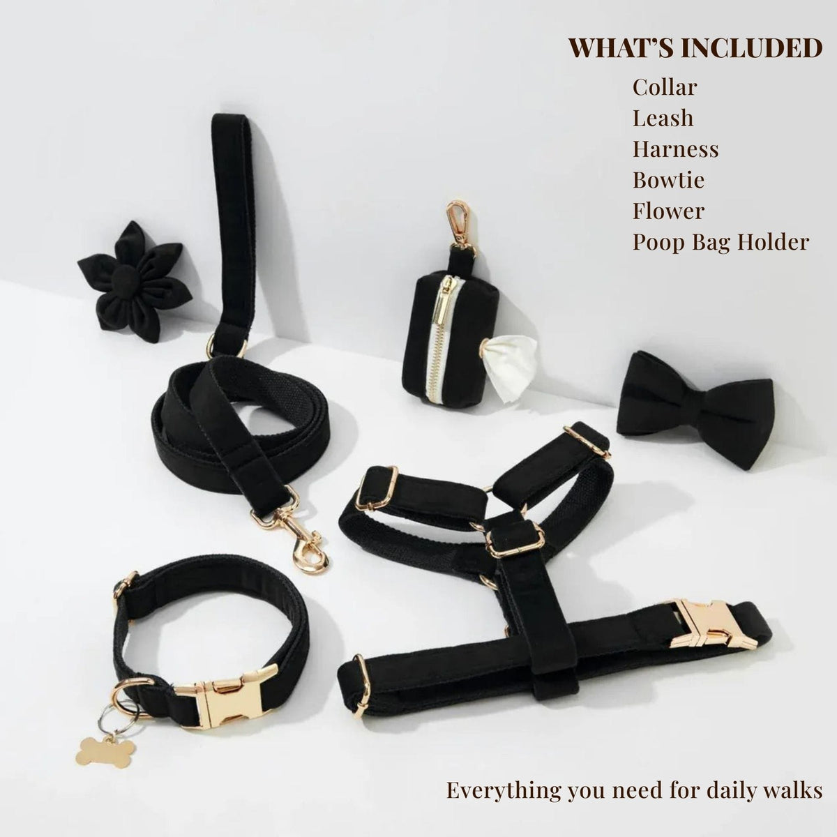 Black velvet dog collar, harness, leash, and bowtie with flower and poop bag holder