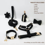 Black velvet dog collar, harness, leash, and bowtie with flower and poop bag holder
