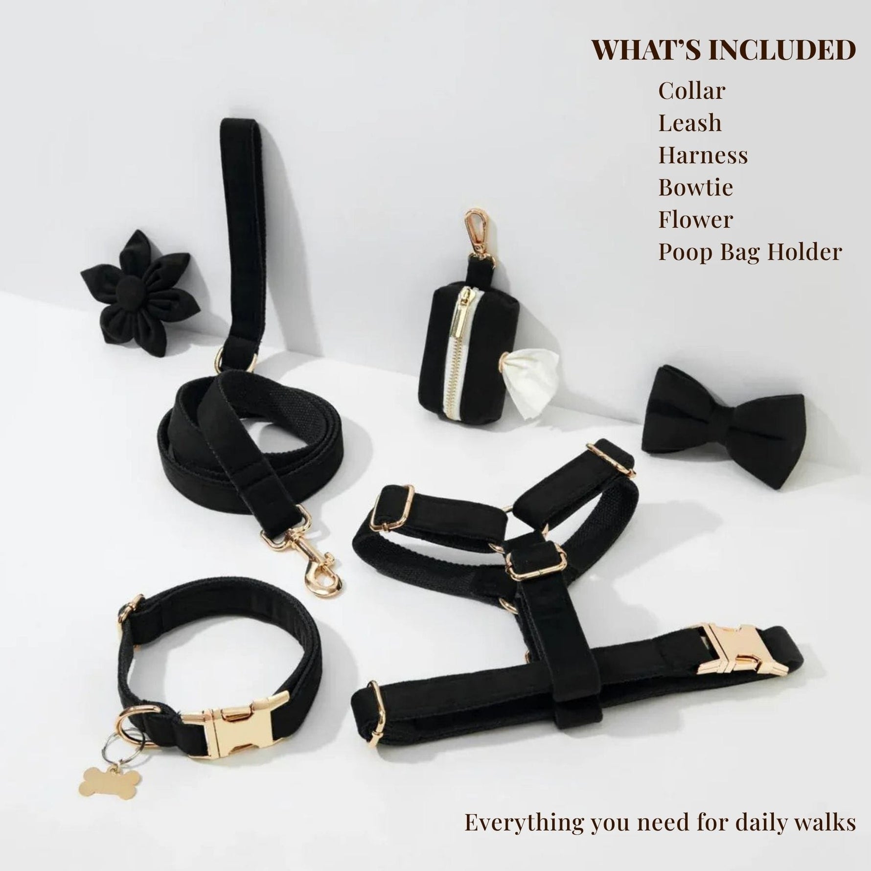 Black velvet dog collar, harness, leash, and bowtie with flower and poop bag holder