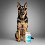 Canine reproduction supplement bottle beside a standing German Shepherd dog