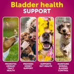 Bladder health support infographic with four dog photos and text prompts.