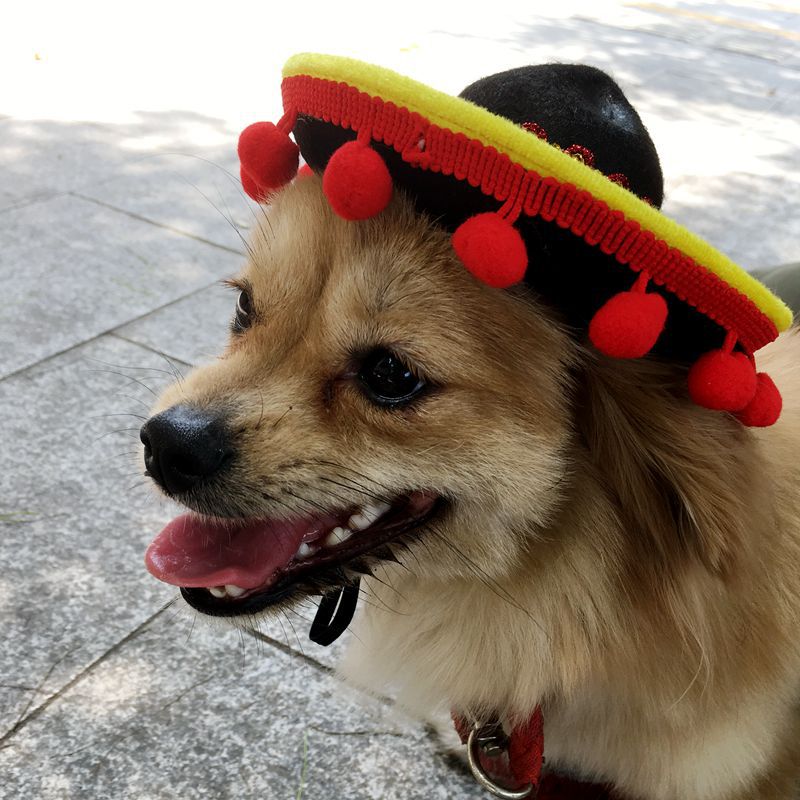 Red and yellow knit hot dog hat with pom-poms, worn by small dog