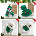 Green Christmas tree pet costume with gold star hood, colorful pom-poms, and white hanging ties