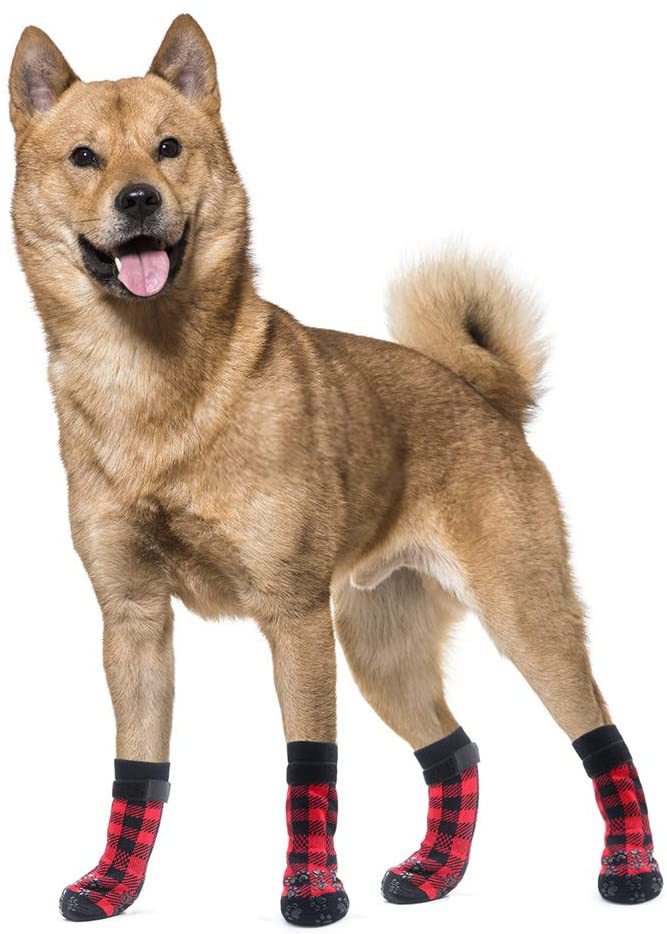 Dog wearing red and black plaid cotton socks with paw-print anti-skid soles