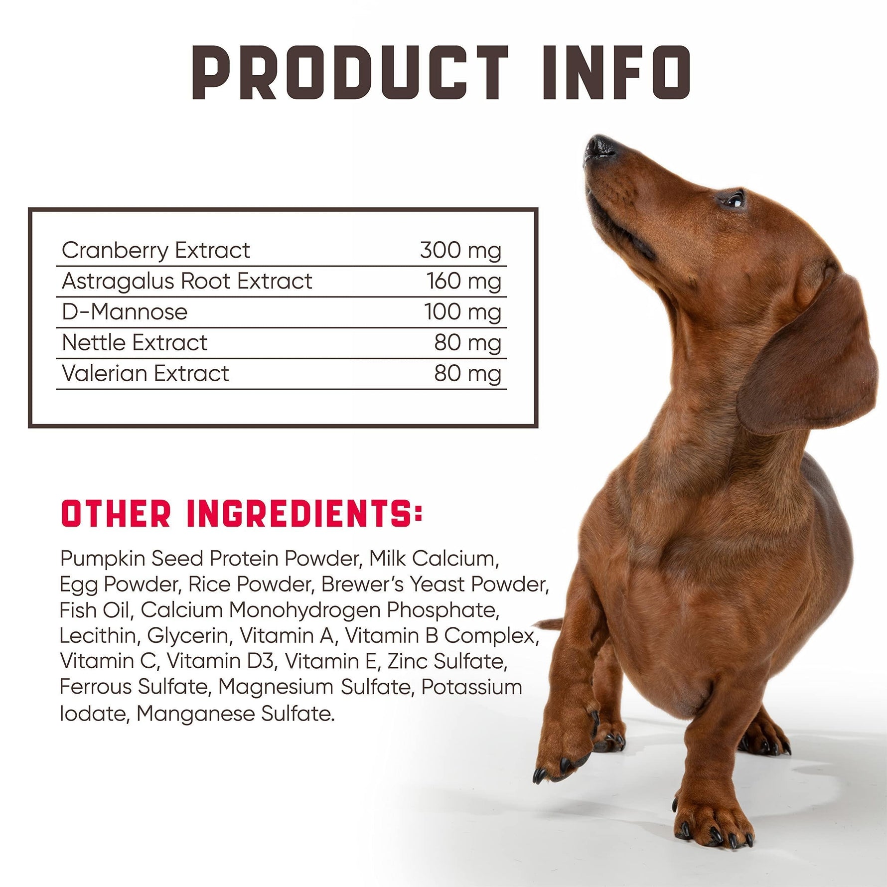 Brown dog next to product info panel listing cranberry extract and other ingredients
