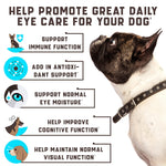 Dog wearing collar with eye-care icons for daily support and antioxidant benefits
