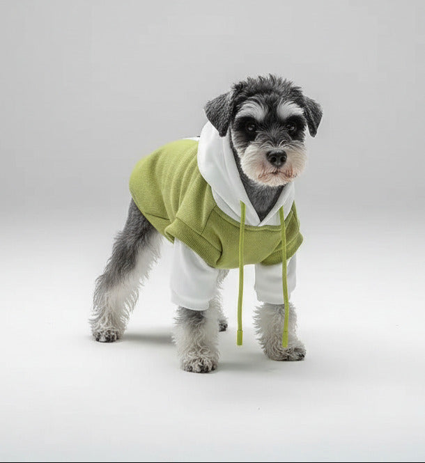 Fleecegefütterter Hundehoodie in Grün mit weißem Kapuzenteil und Kordelzug