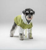 Fleecegefütterter Hundehoodie in Grün mit weißem Kapuzenteil und Kordelzug