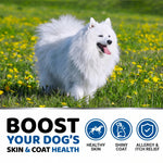 Yuma's Fish Oil +Omega 3 dog chew supplement with a white dog on grass