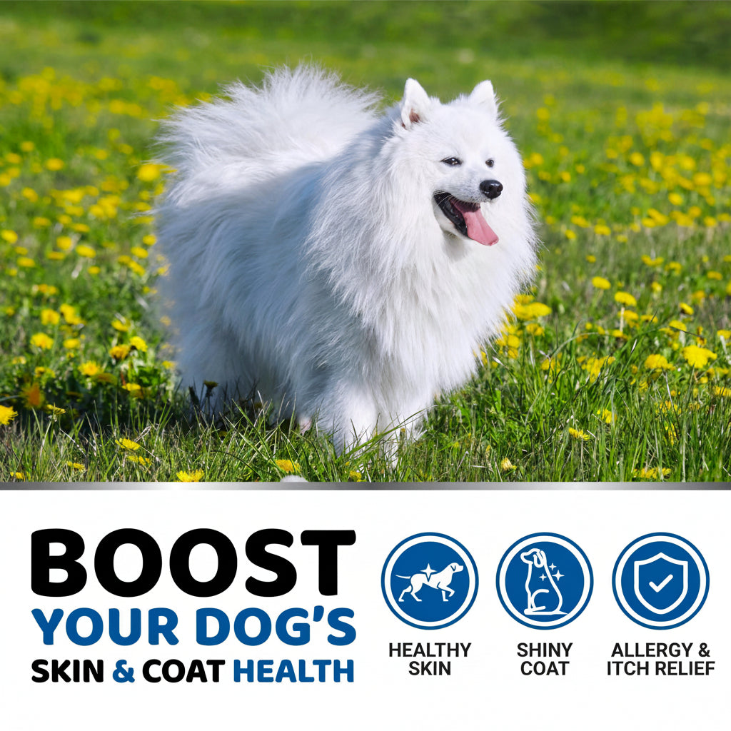 Yuma's Fish Oil +Omega 3 dog chew supplement with a white dog on grass