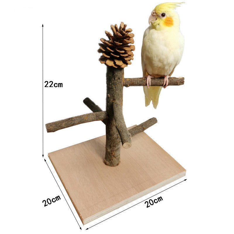 Wood parrot training stand with pinecone swing and branch perch on flat square base.