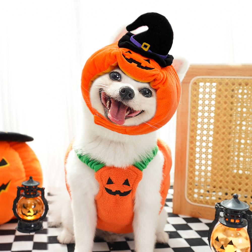 Halloween pumpkin pet costume vest with black witch hat and orange jack-o-lantern face