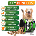 Dog hemp calming chews key benefits infographic with icons and golden retriever