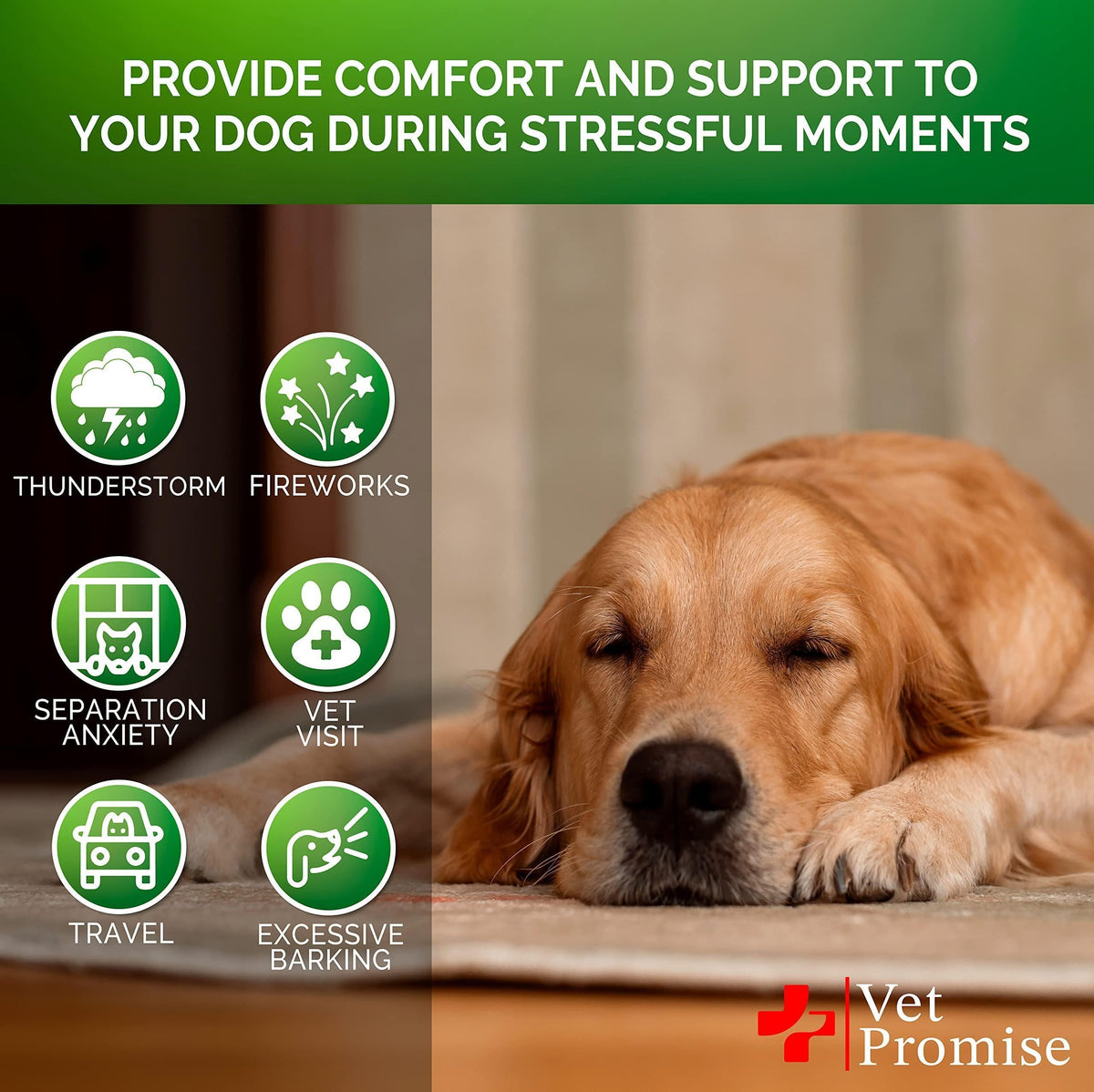 Dog relaxation support graphic with golden retriever resting and green stress icons
