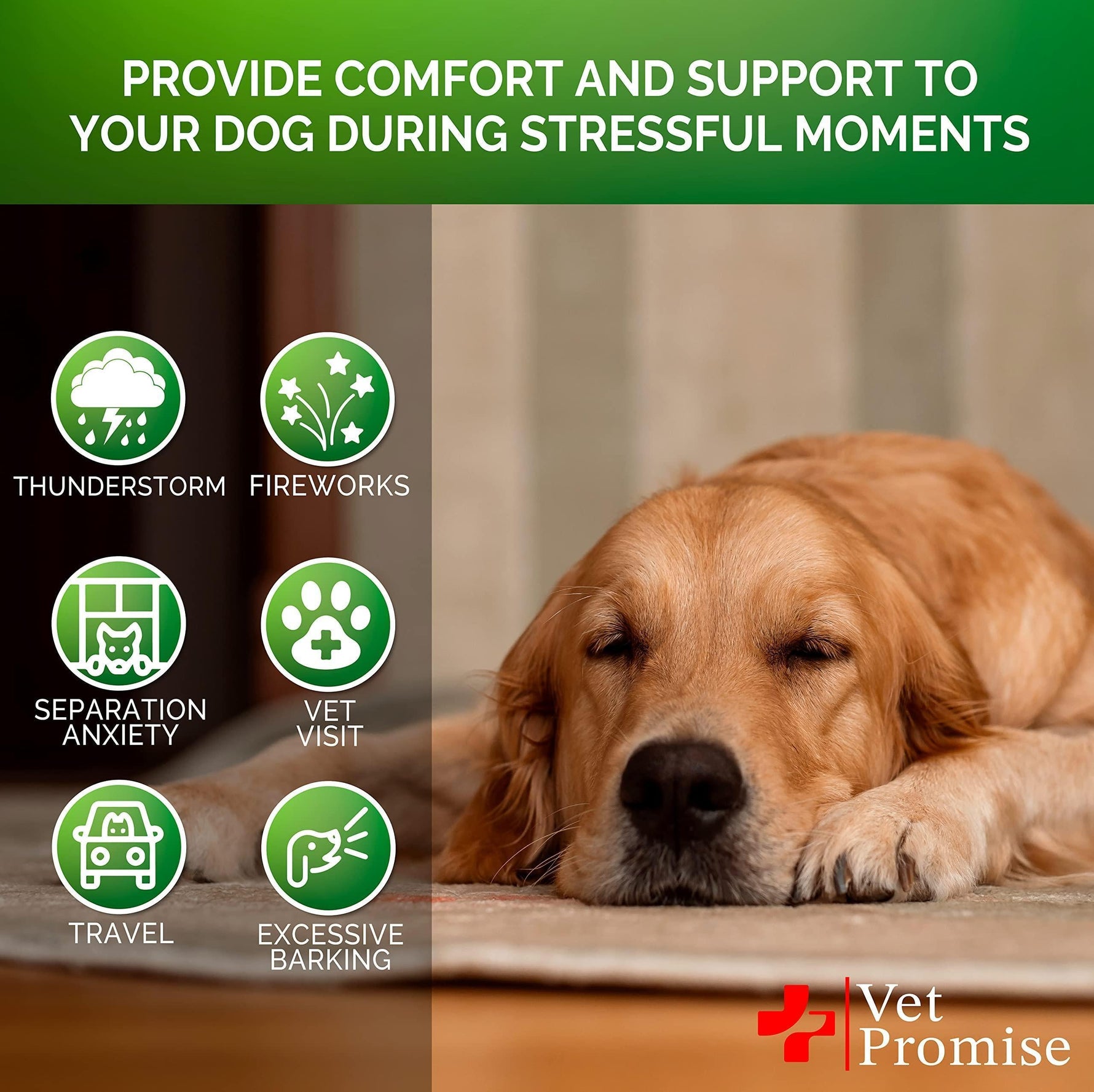 Dog relaxation support graphic with golden retriever resting and green stress icons