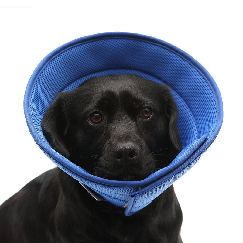 Soft recovery e-collar for dogs and cats, blue mesh cone around dog’s head