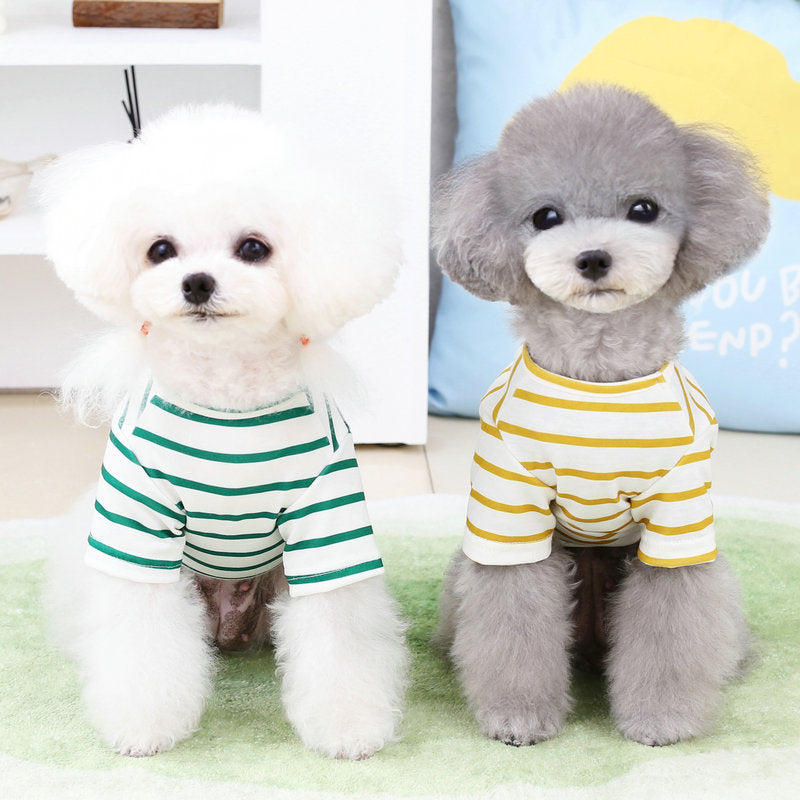 Small dog t-shirt, green and white stripes with cute bear graphic on front