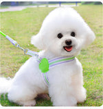 Breathable dog chest harness with green heart pad and striped leash, on small white dog