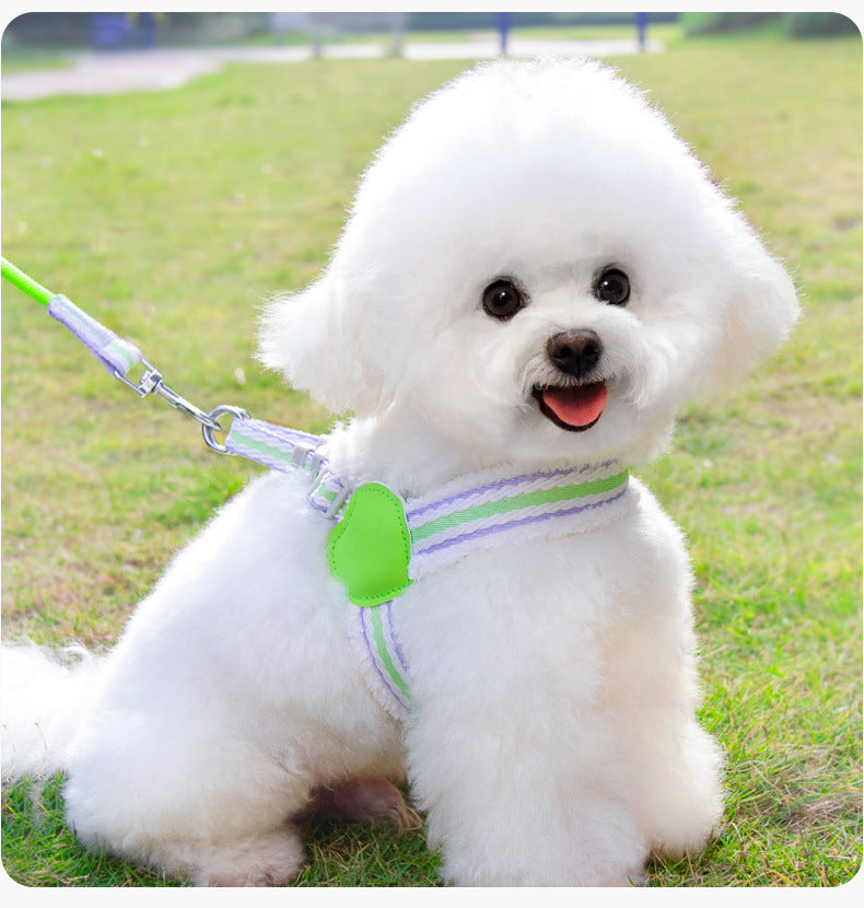 Breathable dog chest harness with green heart pad and striped leash, on small white dog
