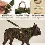 Olive teddy dog harness and leash set with adjustable clips and gold-tone hardware