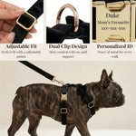 Black velvet dog harness with adjustable fit, dual clips, and gold personalized ID tag