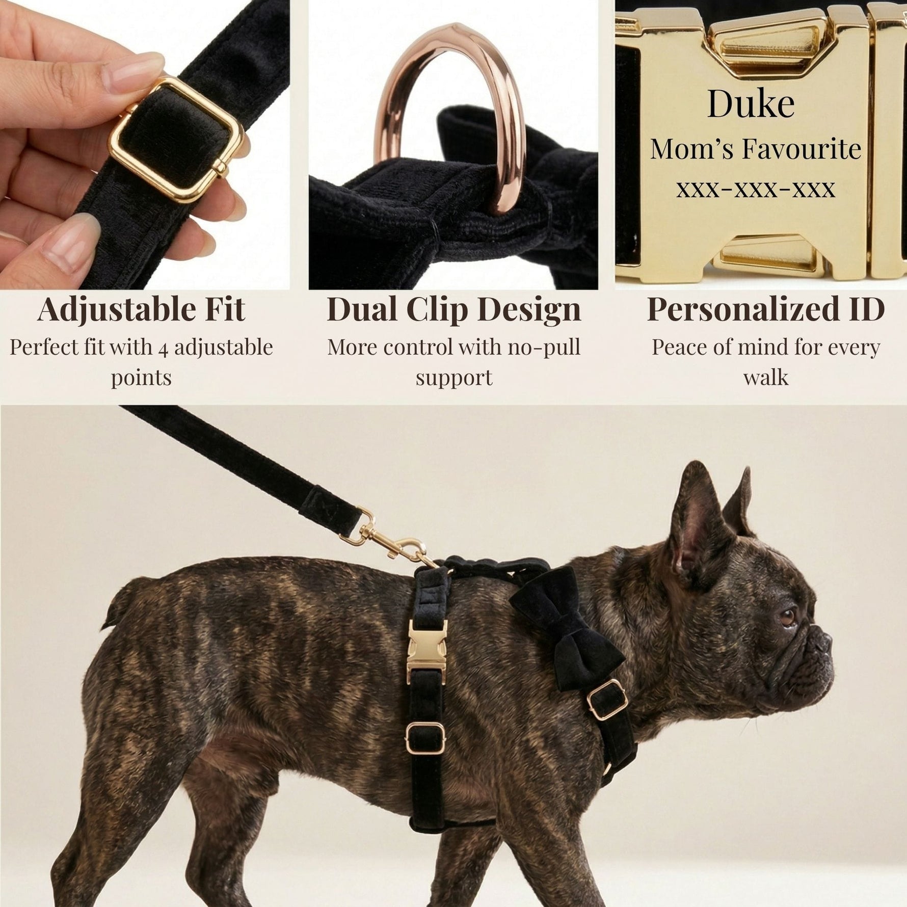 Black velvet dog harness with adjustable fit, dual clips, and gold personalized ID tag