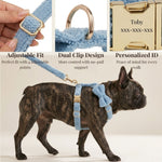 Light blue teddy harness with adjustable straps, dual clips, and engraved ID tag