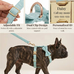 Teal corduroy dog harness with adjustable strap and bowtie, shown on a dog
