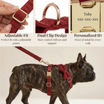 Dark red corduroy dog harness with adjustable gold buckle and detachable bowtie on a dog