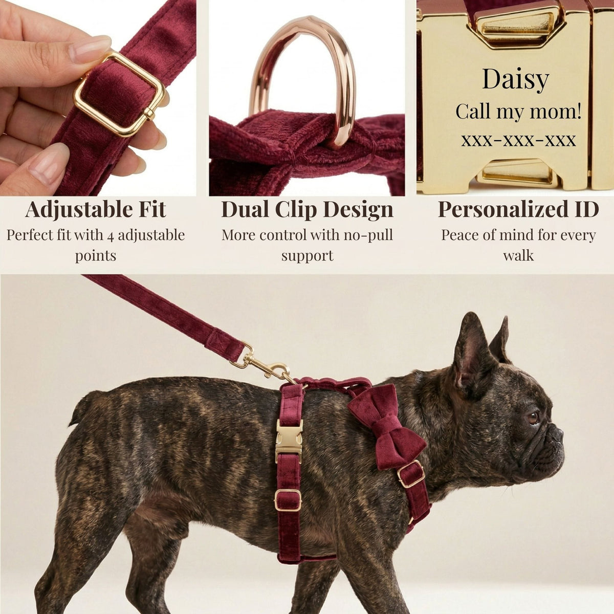 Dog wearing red wine velvet harness and matching bowtie collar accessory