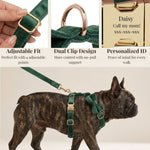 Teal velvet dog harness with adjustable clips and matching bowtie, plus leash