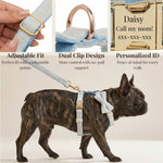 Light blue velvet dog collar with adjustable fit, dual clips, and personalized ID tag